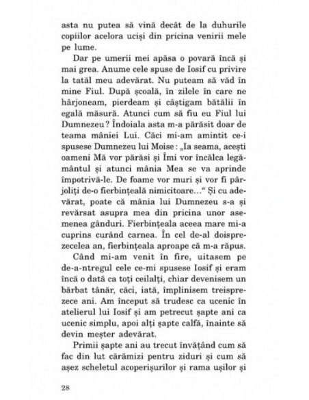 Evanghelia dupa Fiul