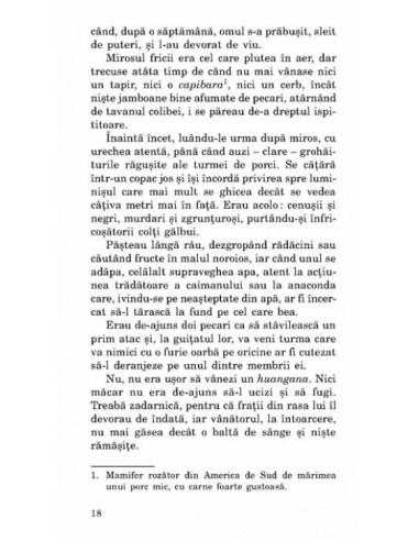 Pământ virgin Pământ virgin