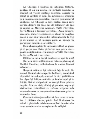 Pământ virgin Pământ virgin