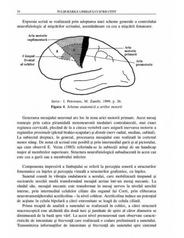 Tulburările limbajului scris-citit