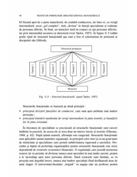 Tratat de psihologie organizațional-managerială (Vol. II)
