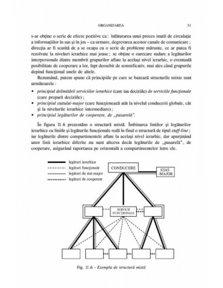 Tratat de psihologie organizațional-managerială (Vol. II)