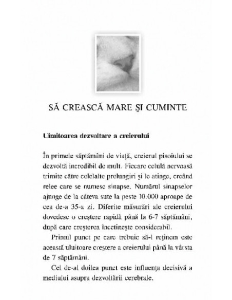 Ghid practic pentru educarea pisicilor. Comportament • Socializare • Învăţare