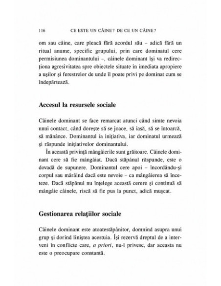 Ghid practic pentru educarea câinilor