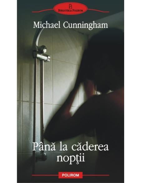 Pînă la căderea nopţii