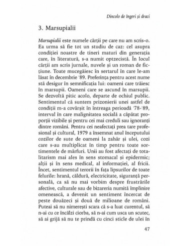 Dincolo de îngeri și draci. Etica în...