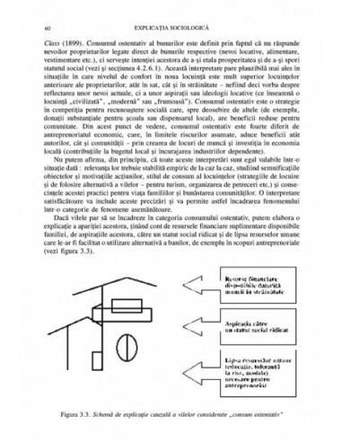 Explicația sociologică Explicația sociologică