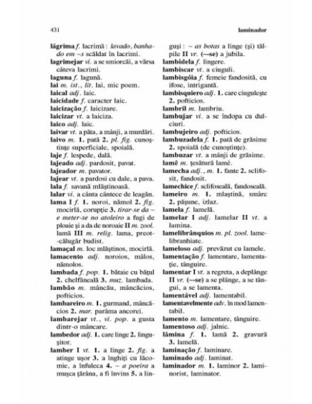 Dicționar portughez-român