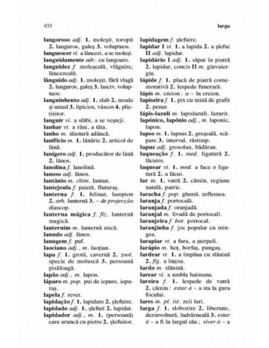 Dicționar portughez-român