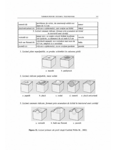 Terminologie medicală şi farmaceutică Terminologie medicală şi farmaceutică