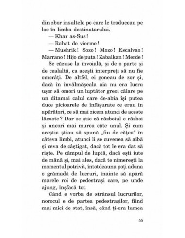 Cavalerul inexistent