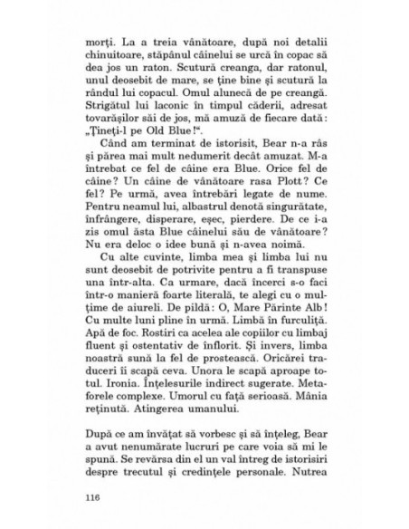 Cele treisprezece chipuri ale lunii