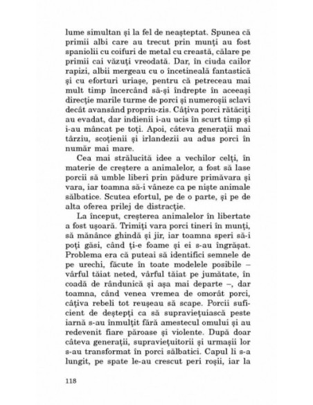 Cele treisprezece chipuri ale lunii