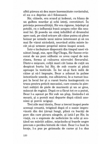 Cele treisprezece chipuri ale lunii