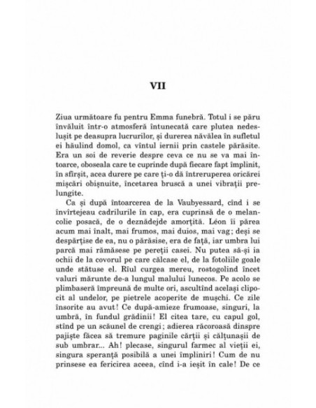 Doamna Bovary
