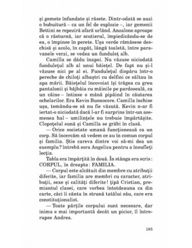 O zi perfectă O zi perfectă