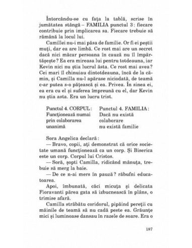 O zi perfectă O zi perfectă