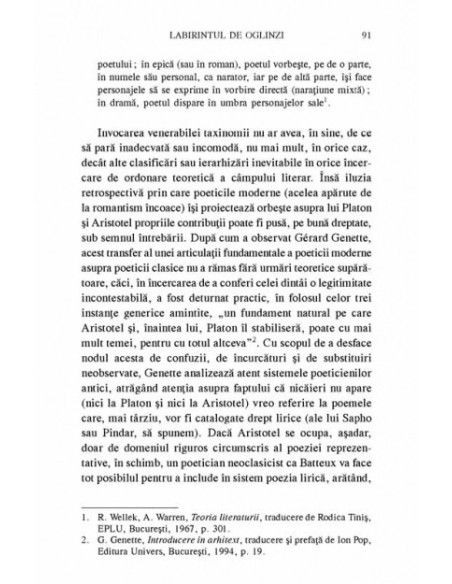 Labirintul de oglinzi. Repere pentru o poetică a metatranzitivităţii