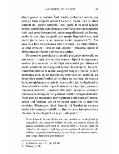 Labirintul de oglinzi. Repere pentru... Labirintul de oglinzi. Repere pentru...