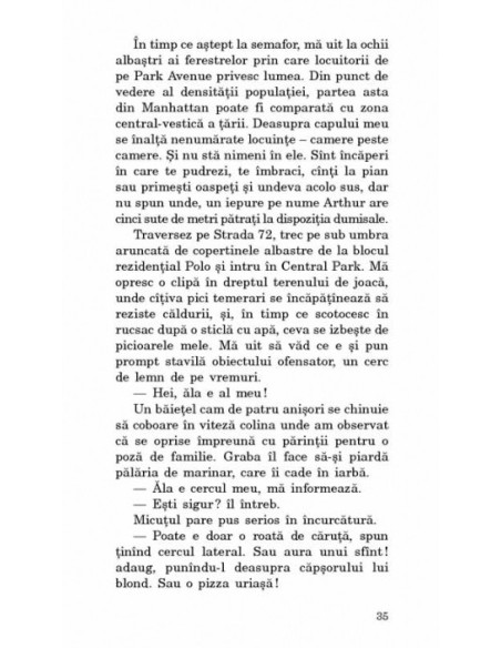 Jurnalul unei dădace