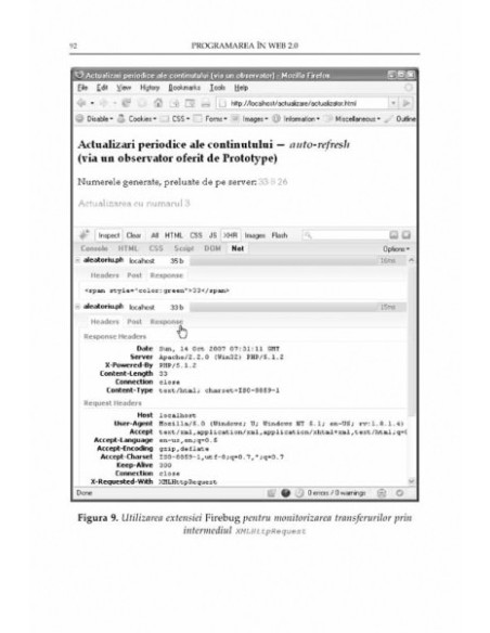 Programarea în Web 2.0