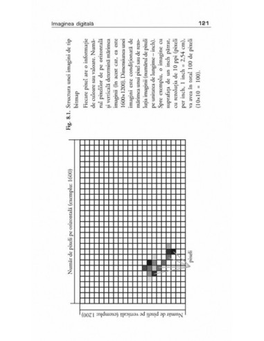 Introducere în fotografie. Ghidul...