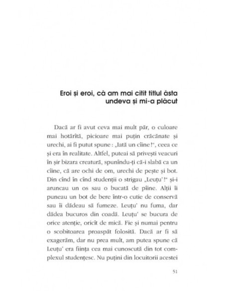 Proză cu amănuntul