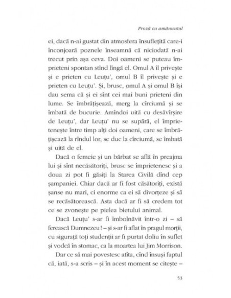Proză cu amănuntul