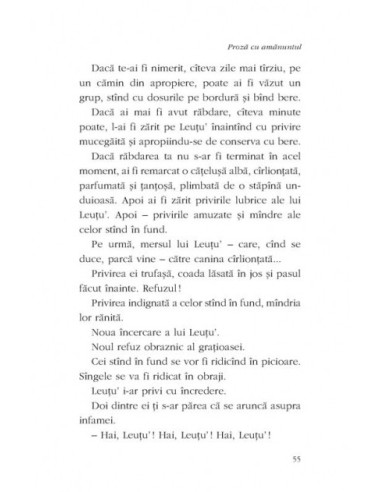 Proză cu amănuntul Proză cu amănuntul