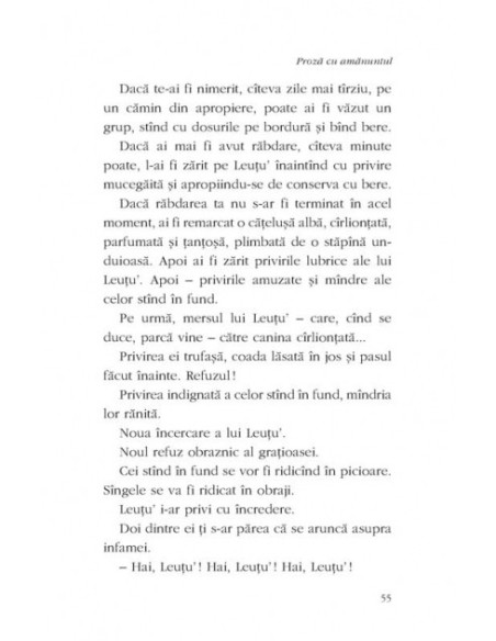 Proză cu amănuntul