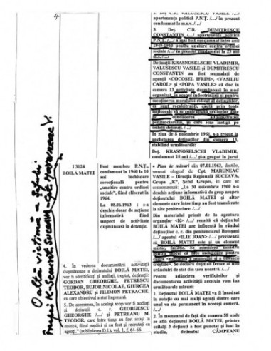 Mărturie şi document, vol. I