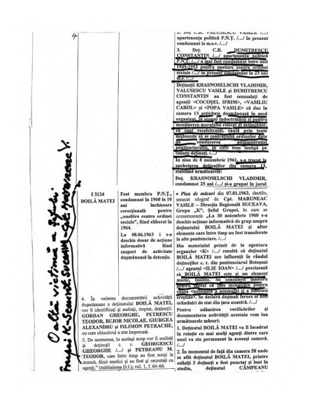 Mărturie şi document, vol. I