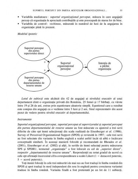 Revista de Psihologie Organizaţională. Vol. VII, Nr. 3-4/2007