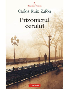 Prizonierul cerului