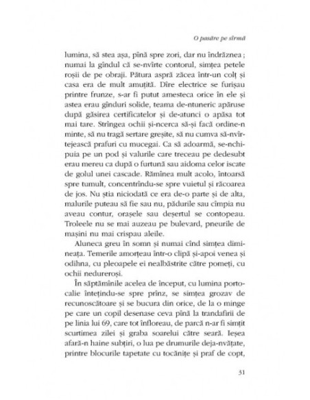 O pasăre pe sîrmă