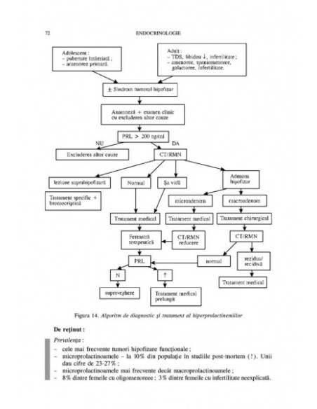 Endocrinologie. Ghid de diagnostic şi tratament în bolile endocrine