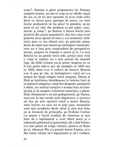 Cristos versus Arizona