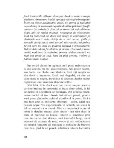 Rubik. Roman colectiv