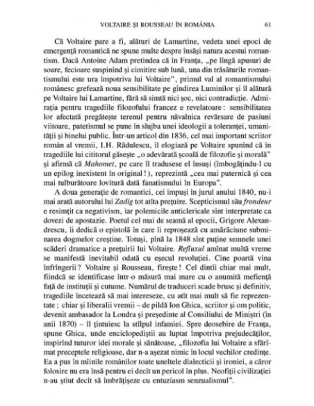 Delimitări și ipoteze. Comunicări și eseuri de teorie literara și studii culturale