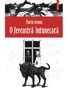 O fereastră intunecată