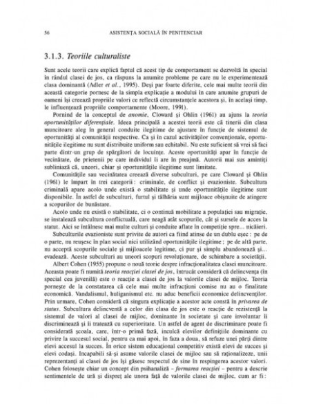 Asistenţa socială în penitenciar