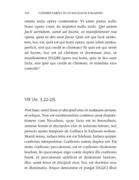 Comentariu la Evanghelia lui Ioan