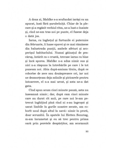 Pisica și șoarecele Pisica și șoarecele