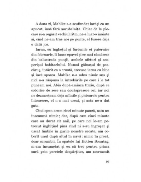 Pisica și șoarecele