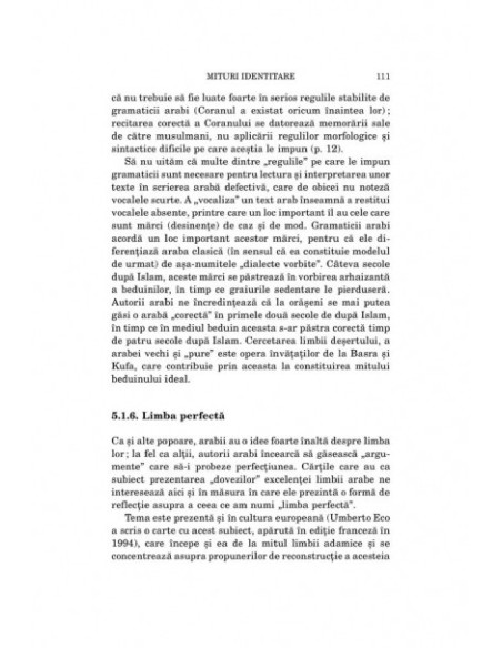 Identitatea arabă. Istorie, limbă, cultură