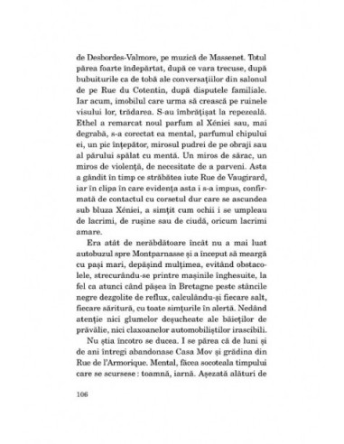 Ritornela foamei Ritornela foamei