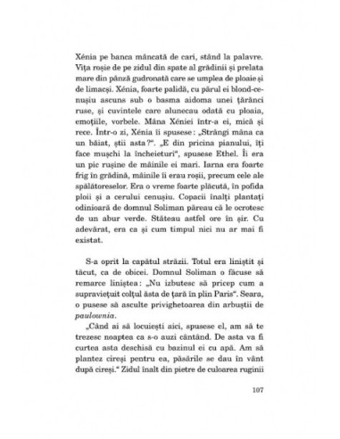 Ritornela foamei Ritornela foamei