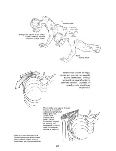 Anatomie pentru mişcare. 