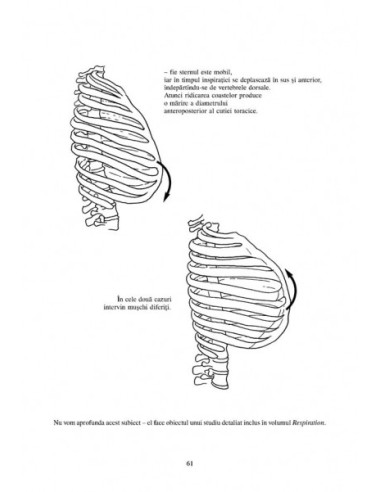 Anatomie pentru mişcare.  Anatomie pentru mişcare.