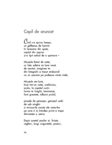 Ţara mlaştină şi alte poeme